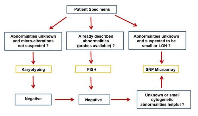 the-applications-of-snp-microarray
