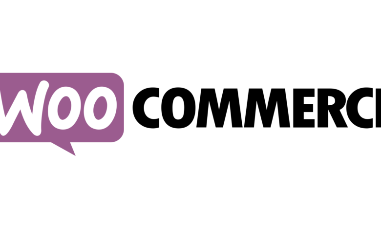 What Is WooCommerce? A Beginner’s Guide to the WordPress Ecommerce Plugin