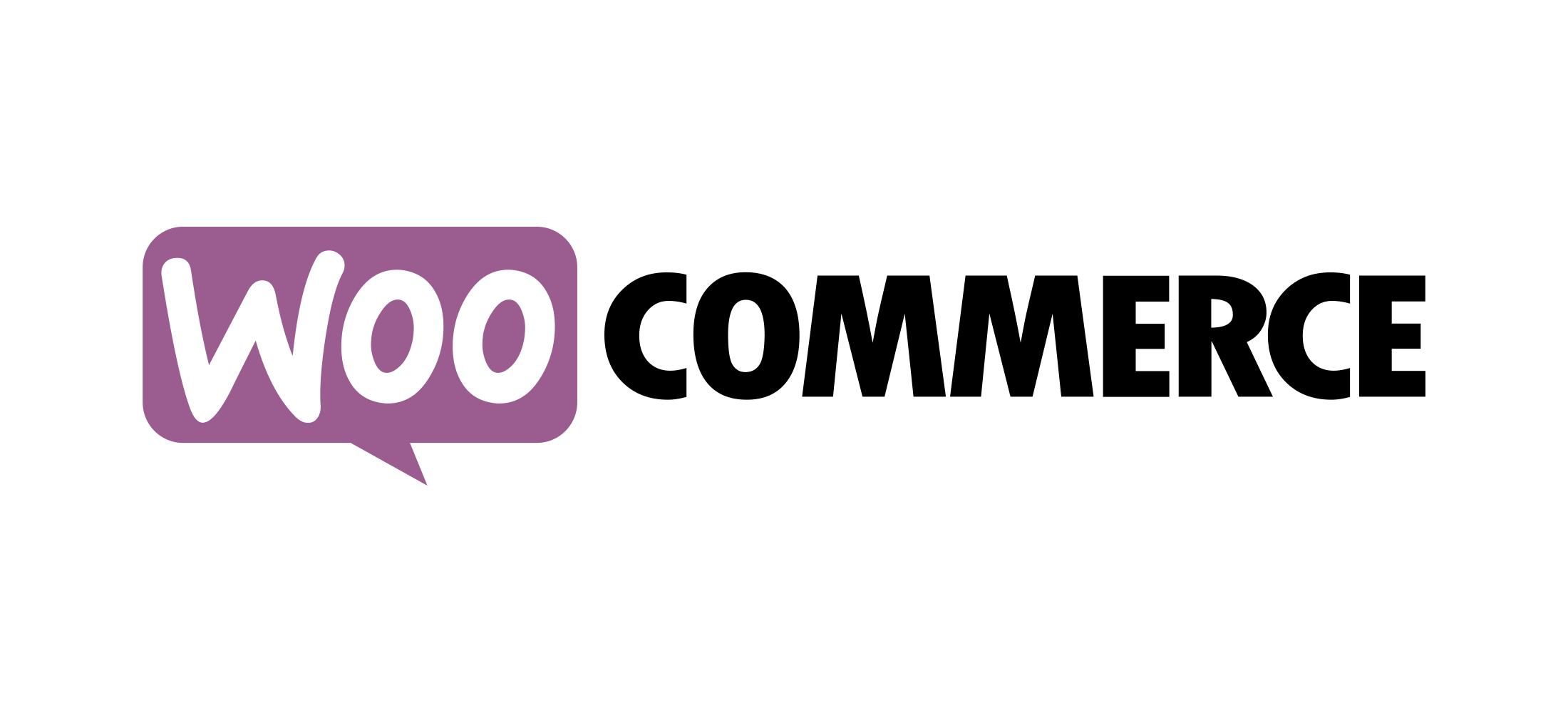 What Is WooCommerce? A Beginner’s Guide to the WordPress Ecommerce Plugin
