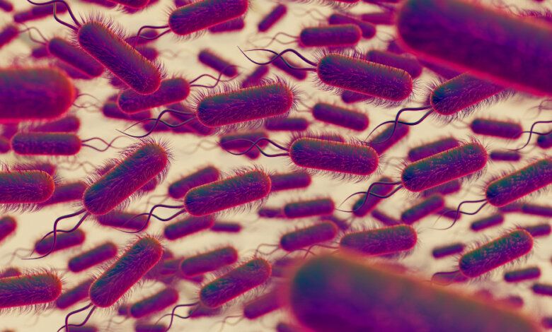 can parasites cause weight gain