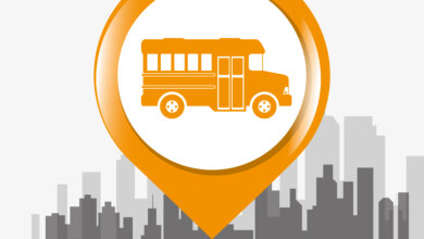 local transport bus service