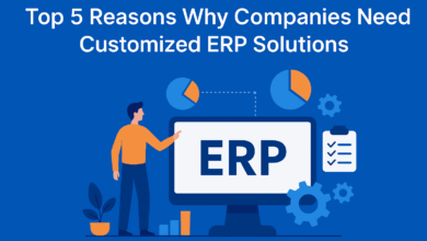 Top 5 Reasons Why Companies Need Customized ERP Solutions