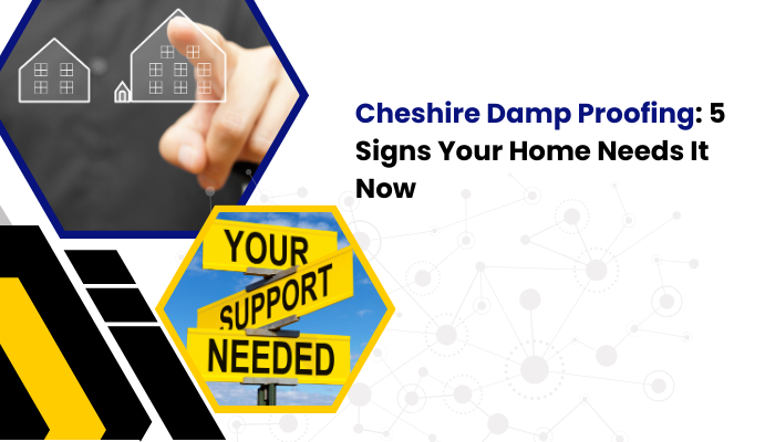 cheshire damp proofing