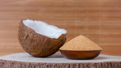 Coconut Sugar Manufacturing Plant