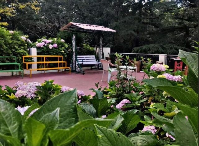 Summer Homestay