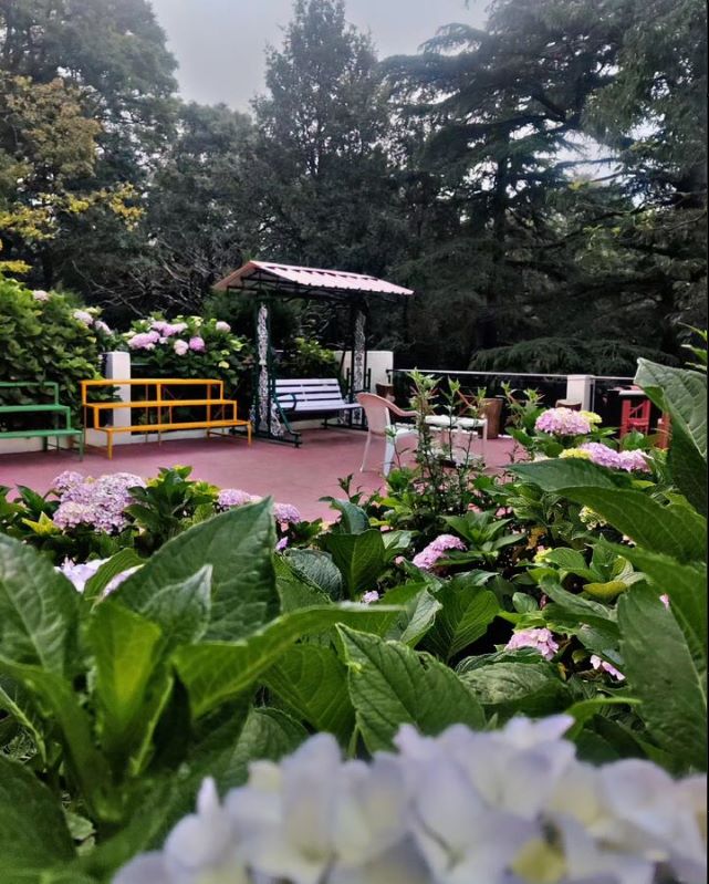 Summer Homestay