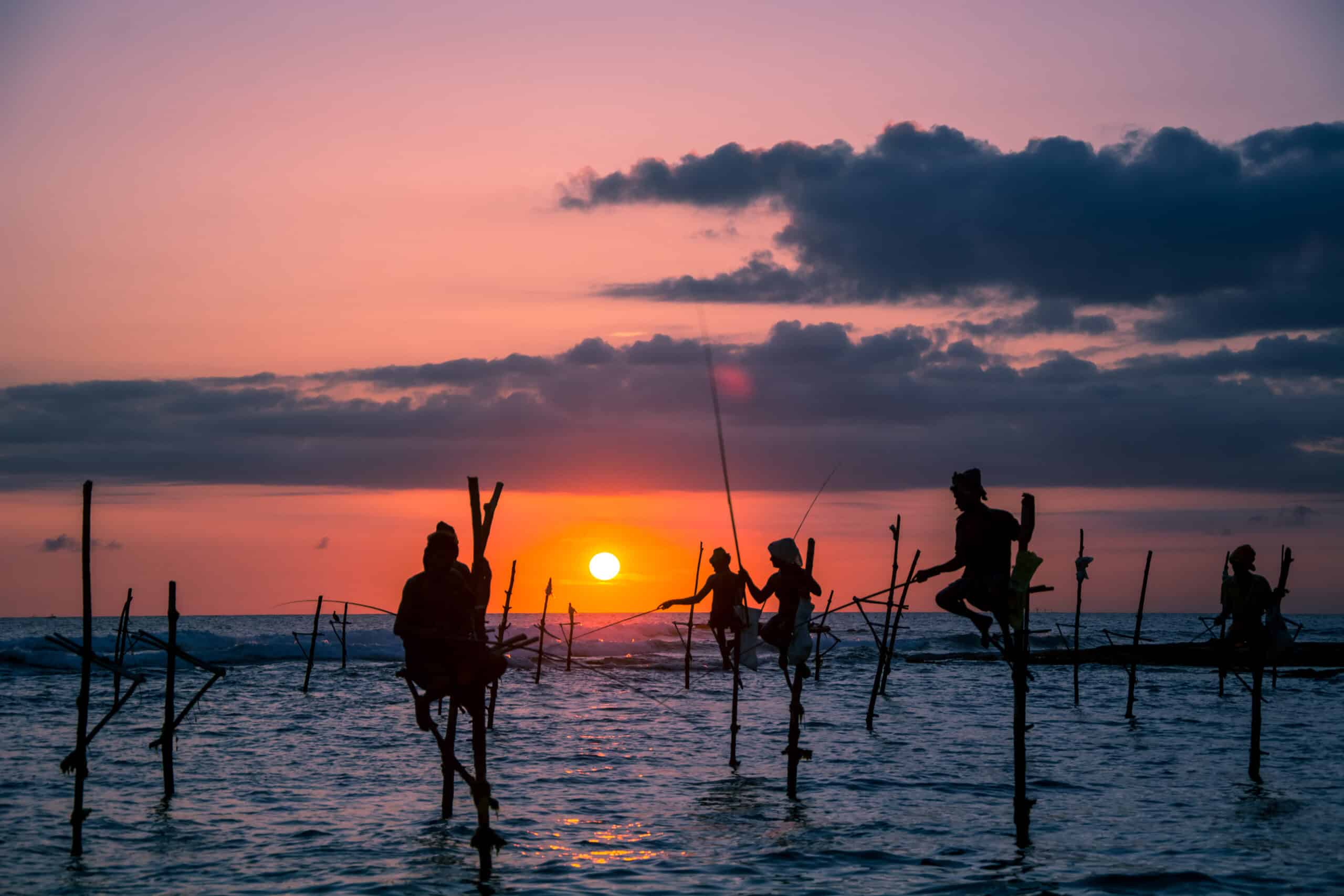 mirissa srilanka