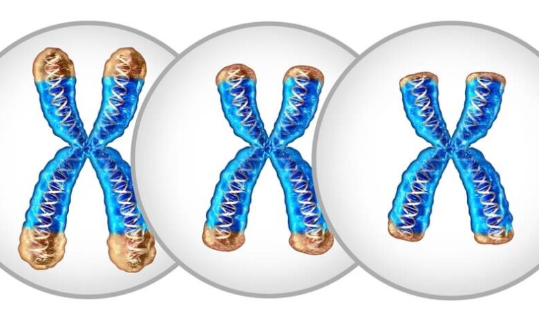 Telomere Testing in Orlando for Anti-Aging