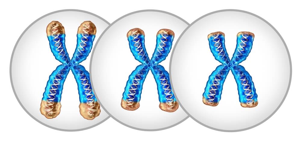Telomere Testing in Orlando for Anti-Aging