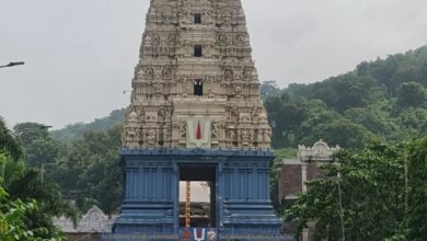 Tirupati in a Day: Divine Blessings of Lord Venkateshwara