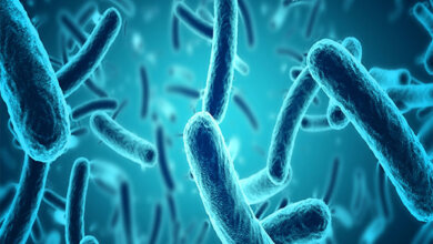 Mebendazole: A Trusted Anthelmintic for Intestinal Worm Infections