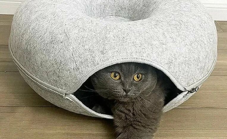 cat tunnel bed