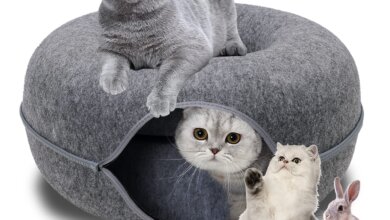 cat tunnel bed