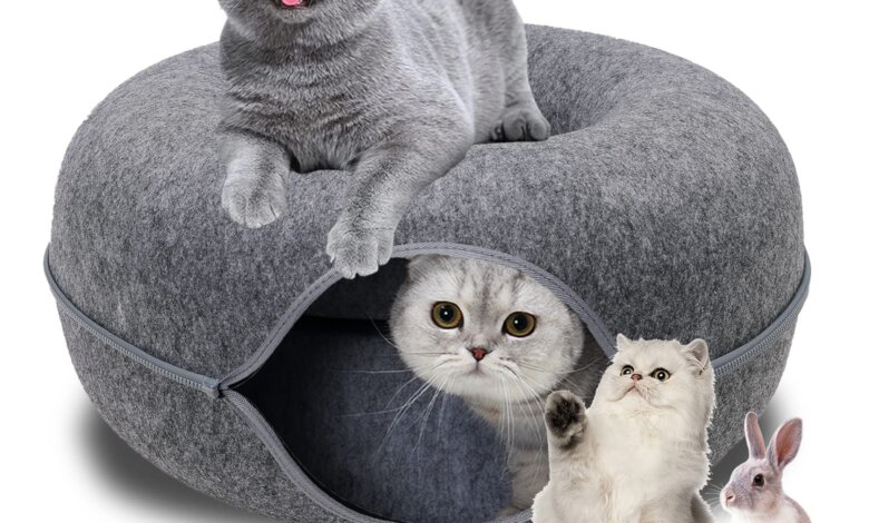 cat tunnel bed