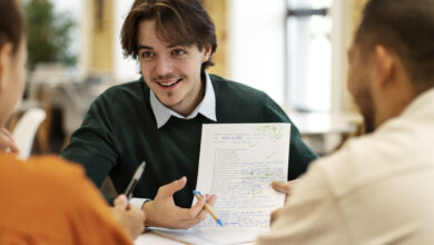 Public Economics Assignment Help