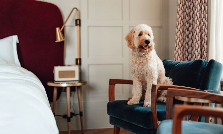 pet friendly spa resorts Ontario