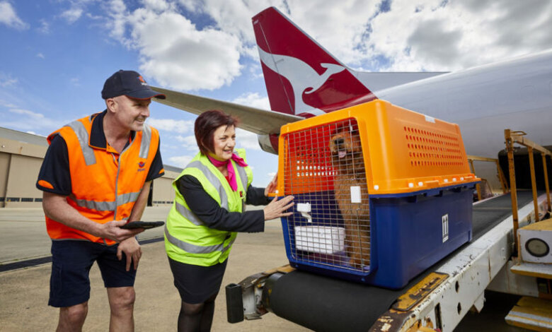 pet transport Bulgaria to UK