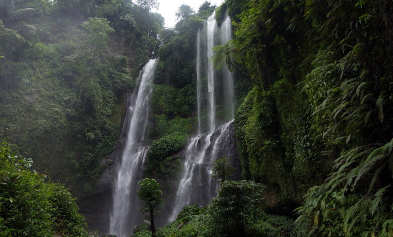 Top 5 Monsoon Destinations in Gujarat for the Ultimate Getaway