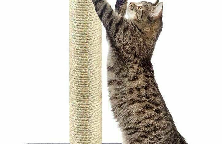 cat scratcher