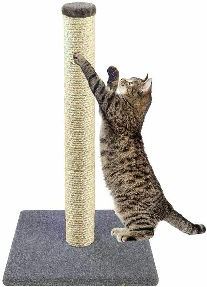 cat scratcher
