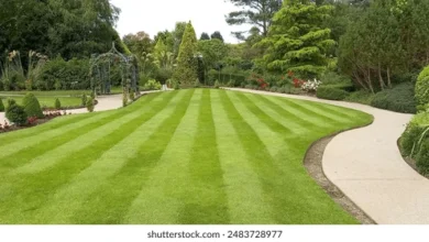 landscaping manassas va