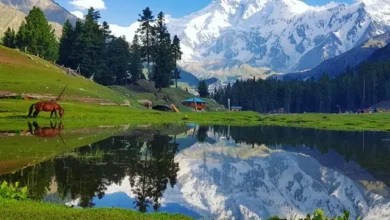 nature explorer tours