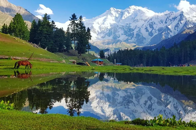 nature explorer tours