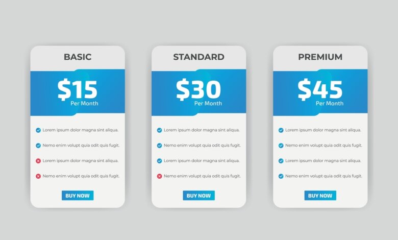 What Makes a Hosting Plan Developer-Friendly?