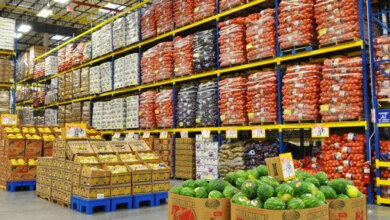 Why Wholesale Food Suppliers Are the Backbone of Retail Success