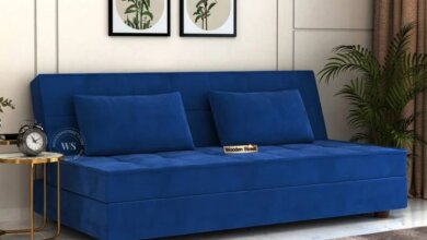 sofa cum bed