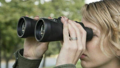 optical devices
