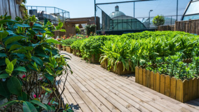 residential landscaping