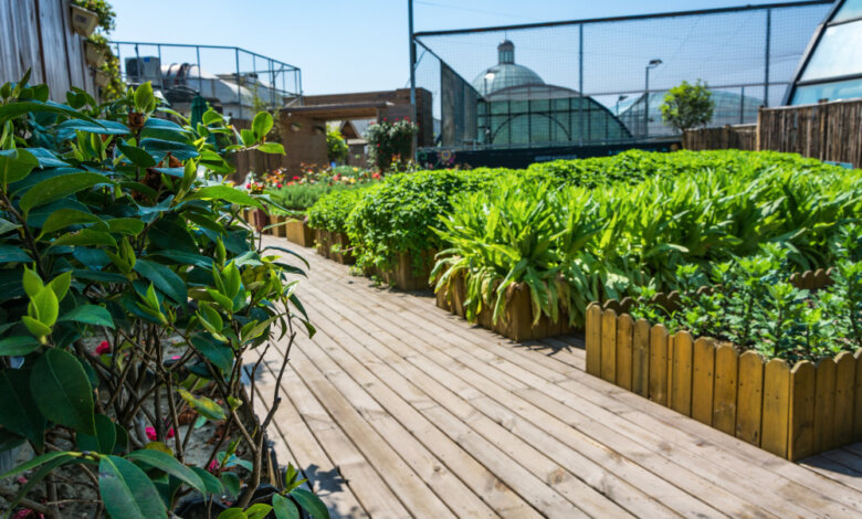 residential landscaping