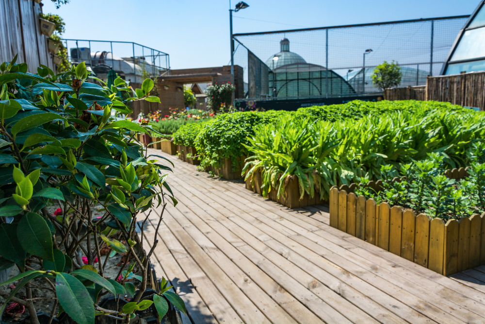 residential landscaping