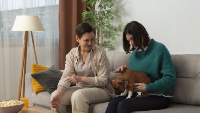 Best Pet-Friendly Homestay in Nainital