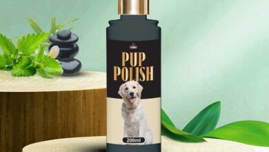 Dog Medicine