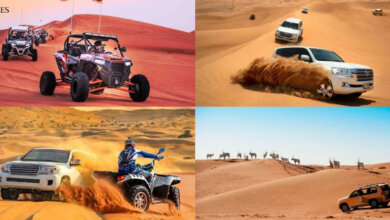 Desert Safari Tours in Dubai