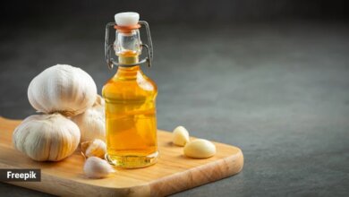 Garlic Oil Manufacturing Plant