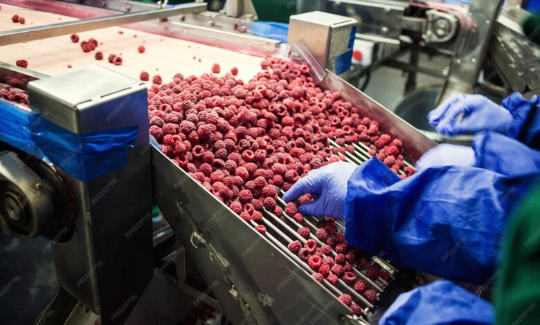 Goji Berry Powder Manufacturing Plant