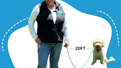 Long Line Leash