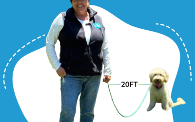 Long Line Leash