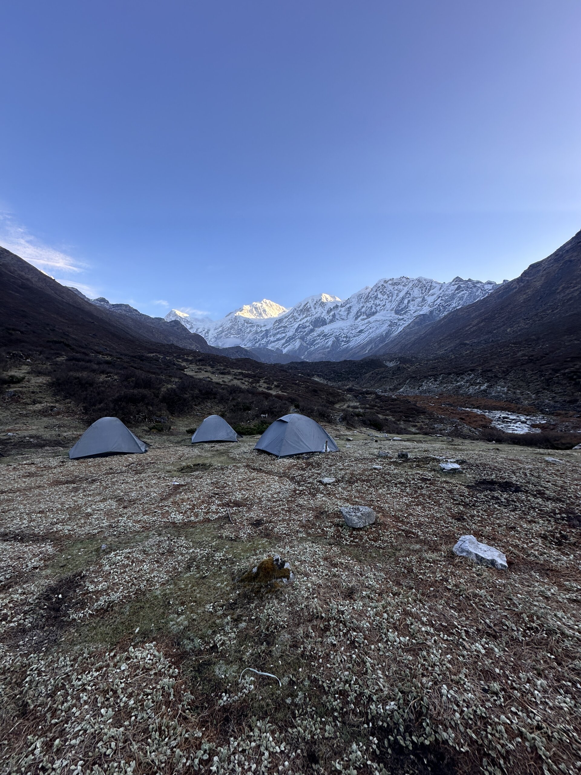 goechala trek images