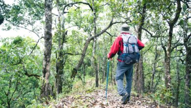 Jim Corbett Adventure Package