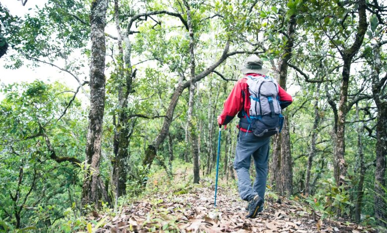 Jim Corbett Adventure Package