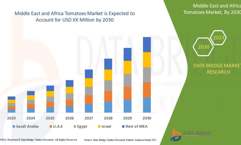 Middle East and Africa Tomatoes Market