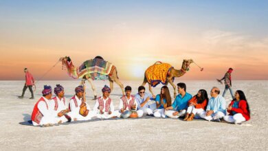 Top 9 Reasons You Should Experience Rann Utsav in Gujarat
