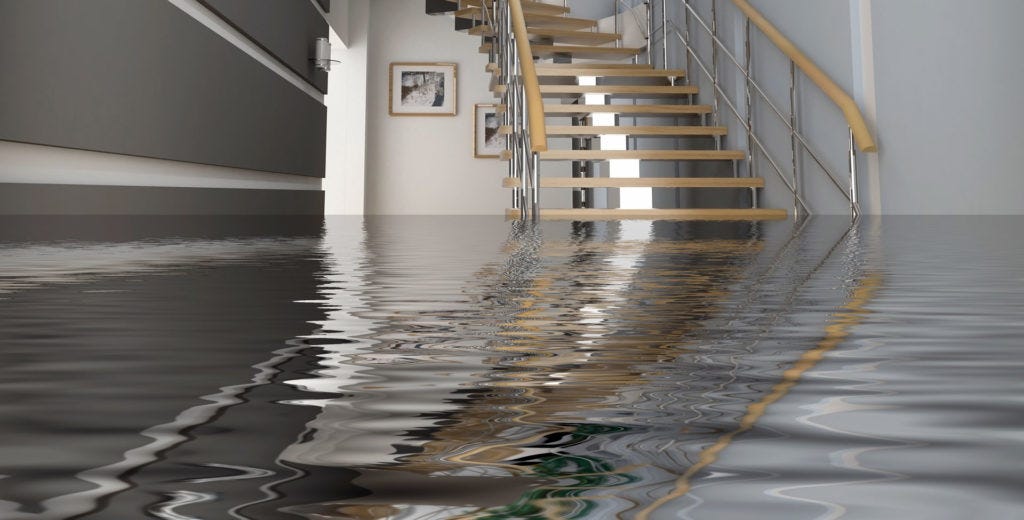 Stop Water Damage Early