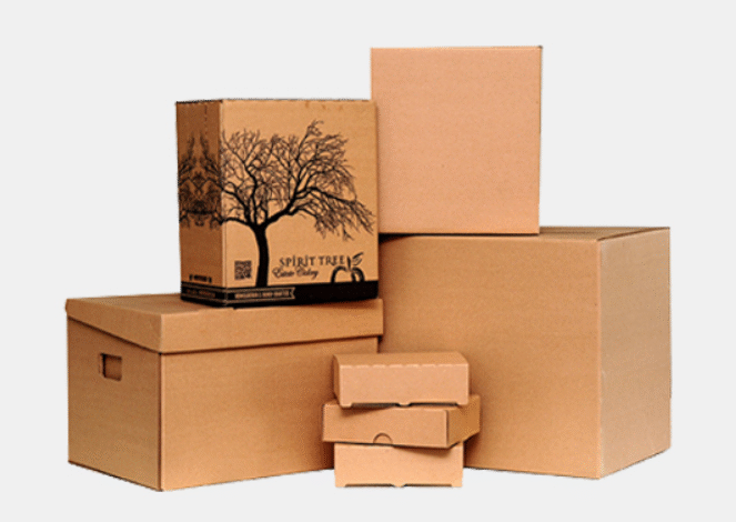 The Rise of Sustainable Corrugated Packaging in 2025