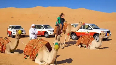 Dubai Desert Safari with dune bashing SUV, camel ride, and golden sand dunes under a sunset sky