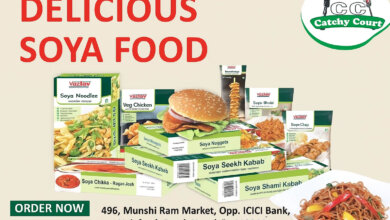 Vezlay Foods